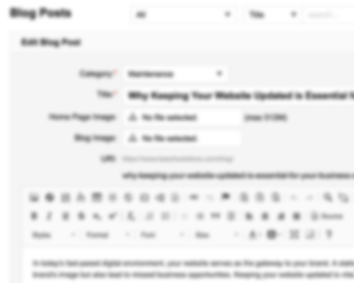 The Professional Touch: Why Expertise in Web Development and Content Creation Matters